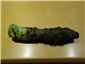 wasabi root
